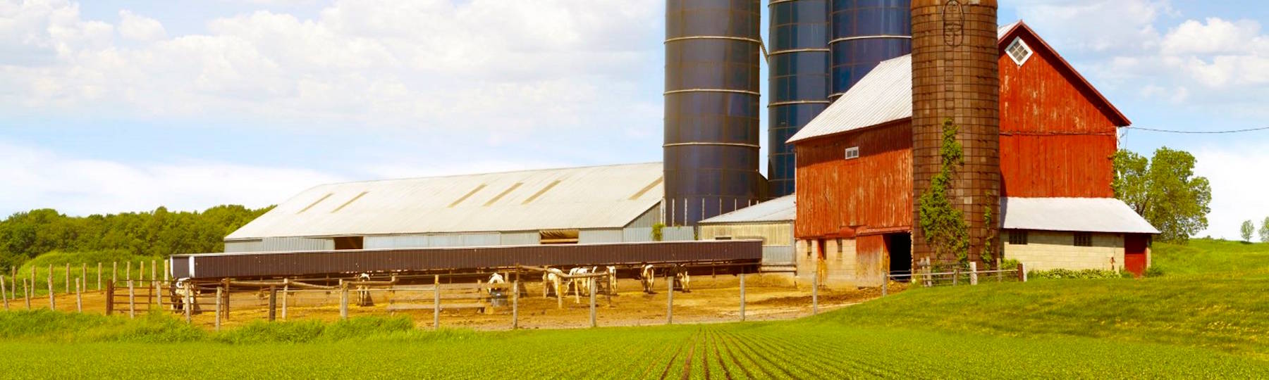 bartender standing behind the bar